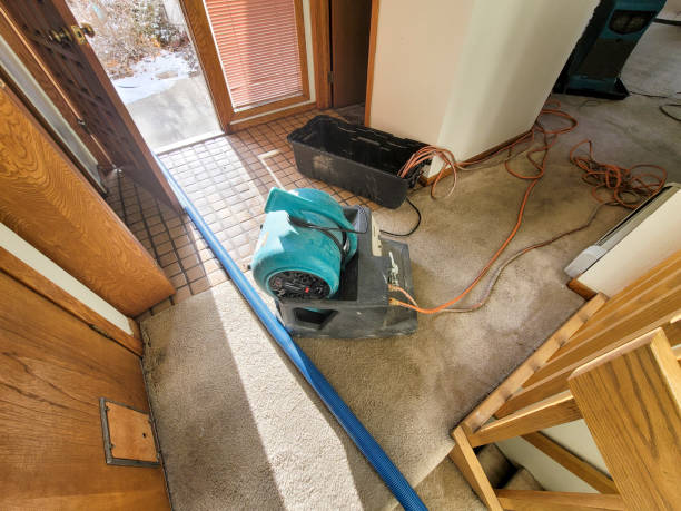 Best Residential water damage restoration  in USA